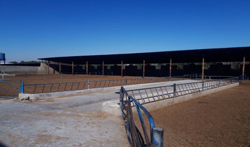 رفع تصرف  بیش از 6000 متر مربع  از اراضی ملی در شهرستان ری  