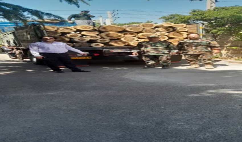 کشف و ضبط 7 تن چوب قاچاق در رباط کریم