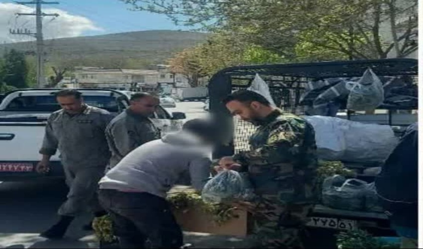 مقابله و برخورد قاطع با فروشندگان عمده گياهان و محصولات مرتعي در شهرستان دماوند/ برداشت گیاهان دارویی و خوراکی در حد عرف مصرف خانگی شهروندان بلامانع 