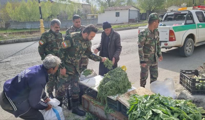 برخورد قاطع یگان حفاظت منابع طبیعی شهرستان دماوند با فروشندگان عمده گیاهان دارویی و مرتعی همچنان ادامه دارد