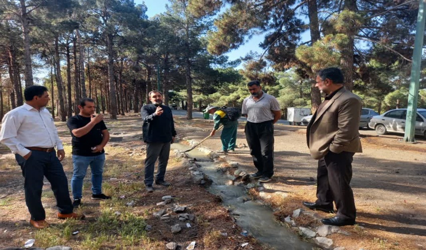 جاری شدن آب زیر درختان پارک جنگلی چیتگر