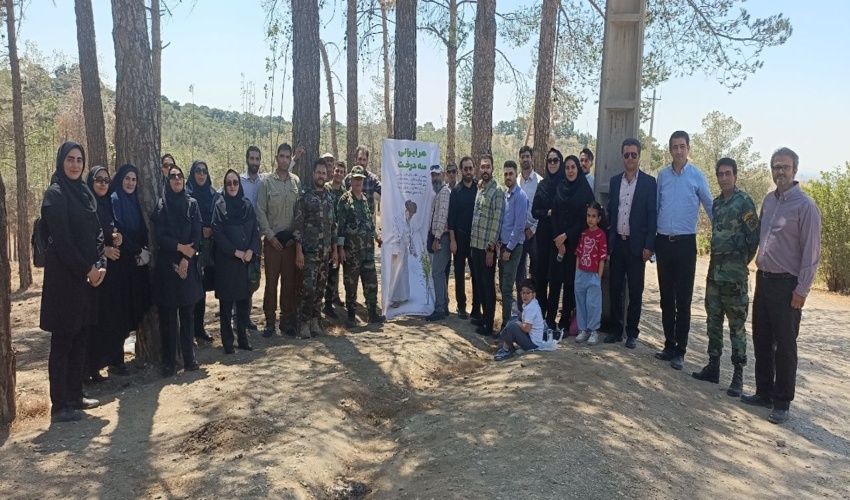 کاشت نهال به جای ریشه و کنده های آفت زده در پارک چیتگر 