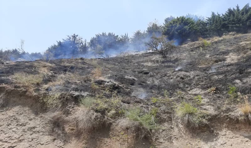 آتش‌سوزی در پلاک زردبند شمیرانات مهار شد