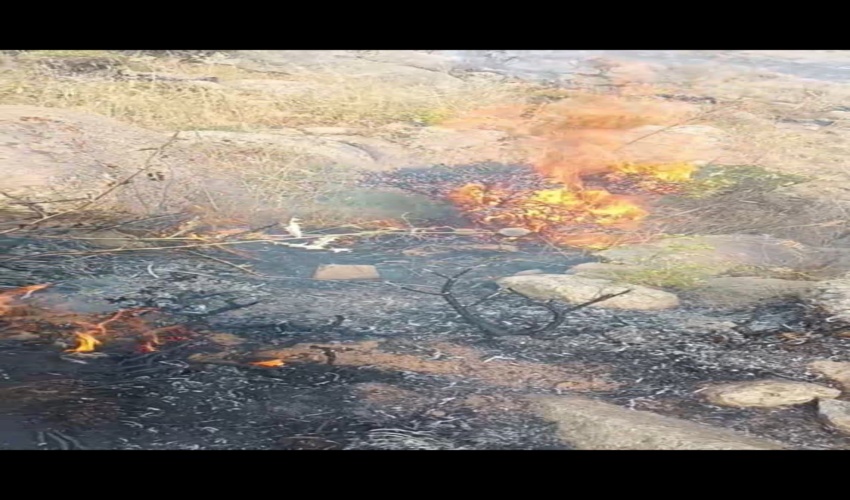 آتش‌سوزی در لواسان بزرگ مهار شد