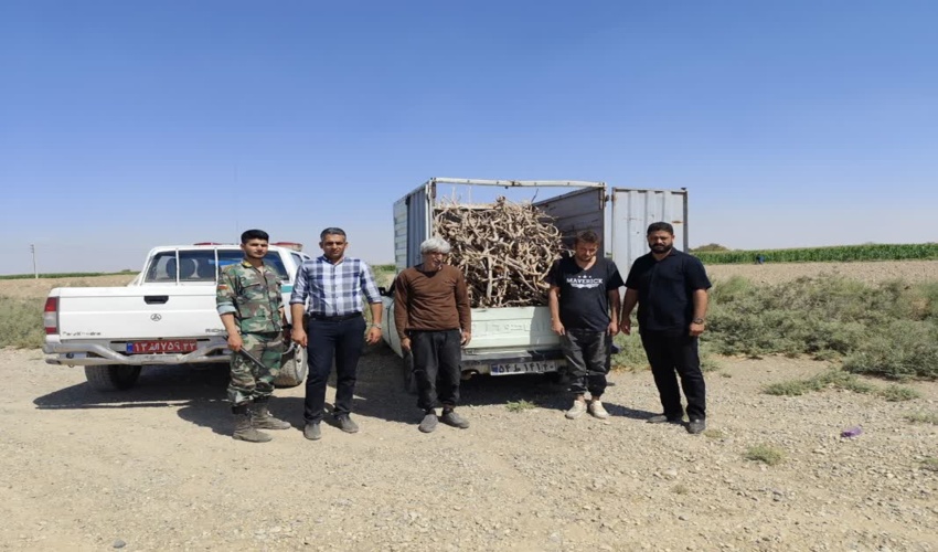 کشف و ضبط 170 کیلو گرم چوب قاچاق در ورامین 