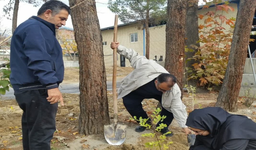 کاشت ۱۰۰ اصله نهال به مناسبت هفته بسیج و در راستای طرح مردمی کاشت یک میلیارد درخت 