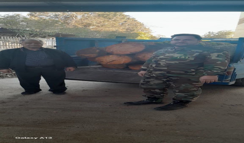 کشف و ضبط 1200 کیلو گرم چوب قاچاق در شهرستان بهارستان