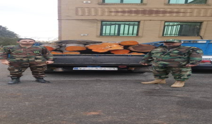 کشف و ضبط 1000 کیلو گرم چوب قاچاق در شهرستان شهریار