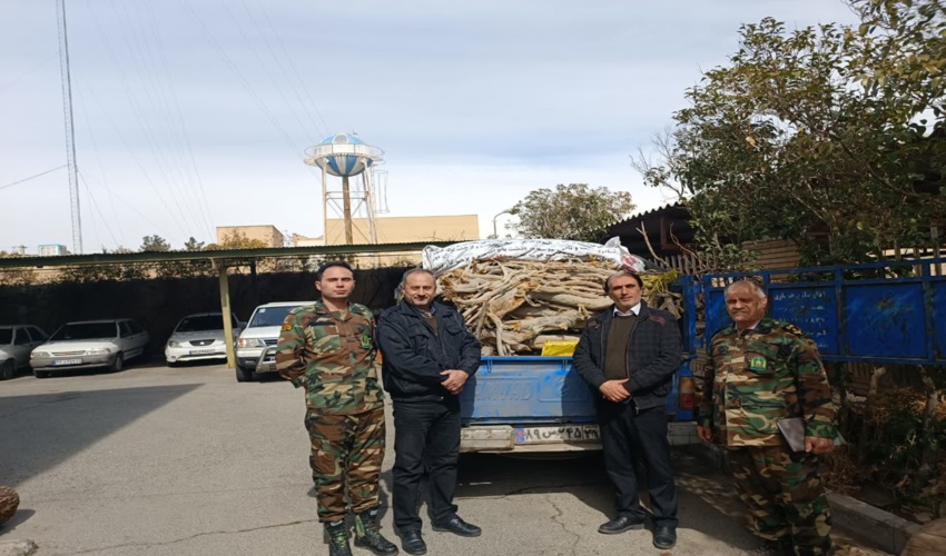 کشف و ضبط 700 کیلو گرم چوب قاچاق در غرب استان تهران 