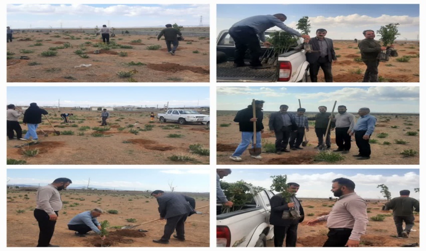برگزاری پویش «سرو ایران» در روستای چهارباغ هم‌زمان با سالگرد یادبود شهدا