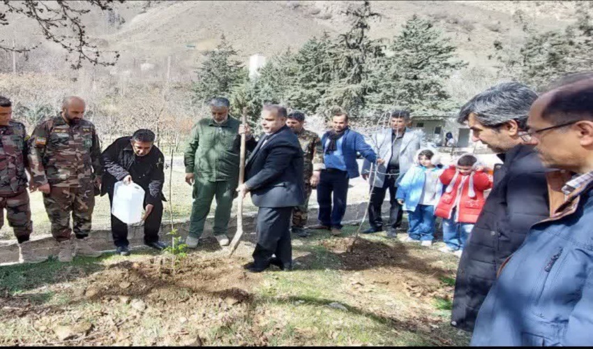 کاشت و پخش نهال امید به روایت تصویر