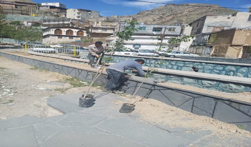 کاشت ۱۶۸ اصله نهال به یاد دانش‌آموزان شهید مدرسه شجره طیبه میناب در روستای کیگا